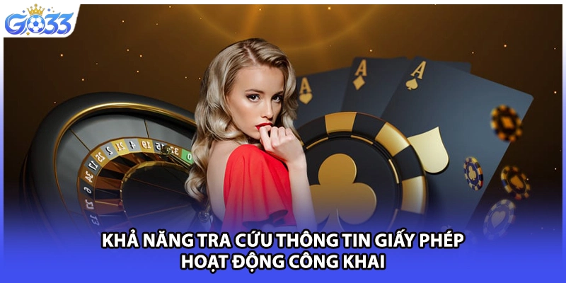 Khả năng tra cứu thông tin giấy phép hoạt động công khai