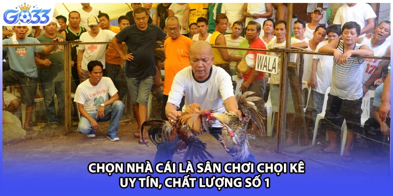 Chọn nhà cái là sân chơi chọi kê uy tín, chất lượng số 1