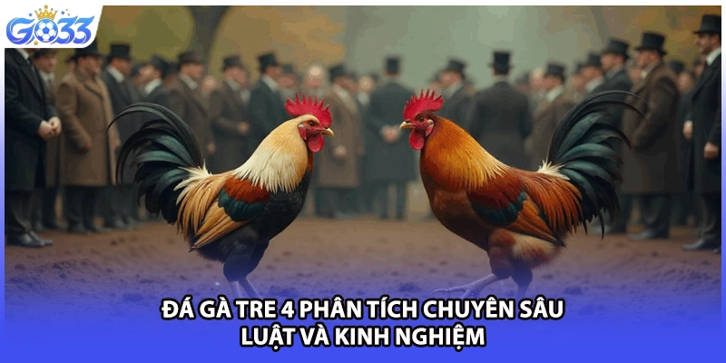 Đá Gà Tre 4 Phân Tích Chuyên Sâu Luật Và Kinh Nghiệm