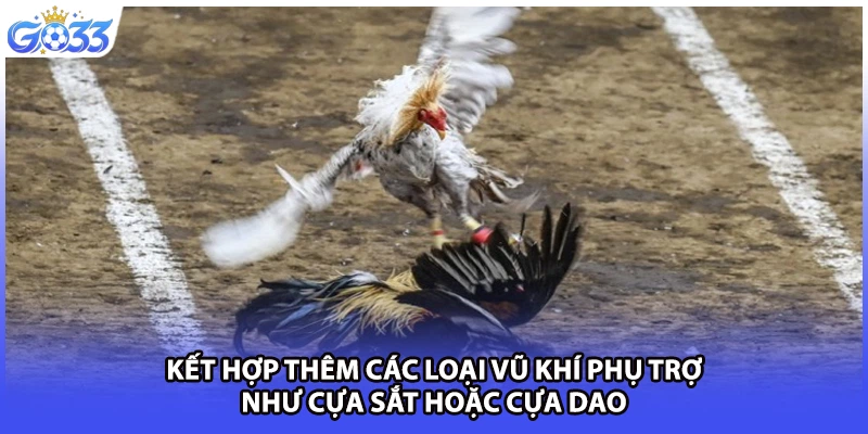 Kết hợp thêm các loại vũ khí phụ trợ như cựa sắt hoặc cựa dao
