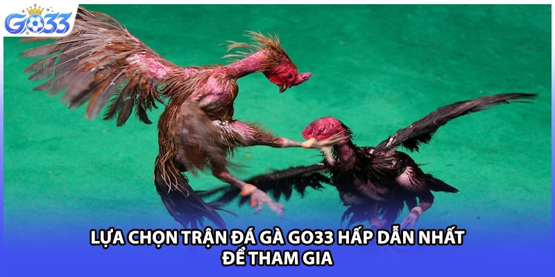 Lựa chọn trận đá gà GO33 hấp dẫn nhất để tham gia