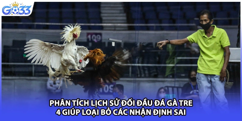 Phân tích lịch sử đối đầu đá gà tre 4 giúp loại bỏ các nhận định sai